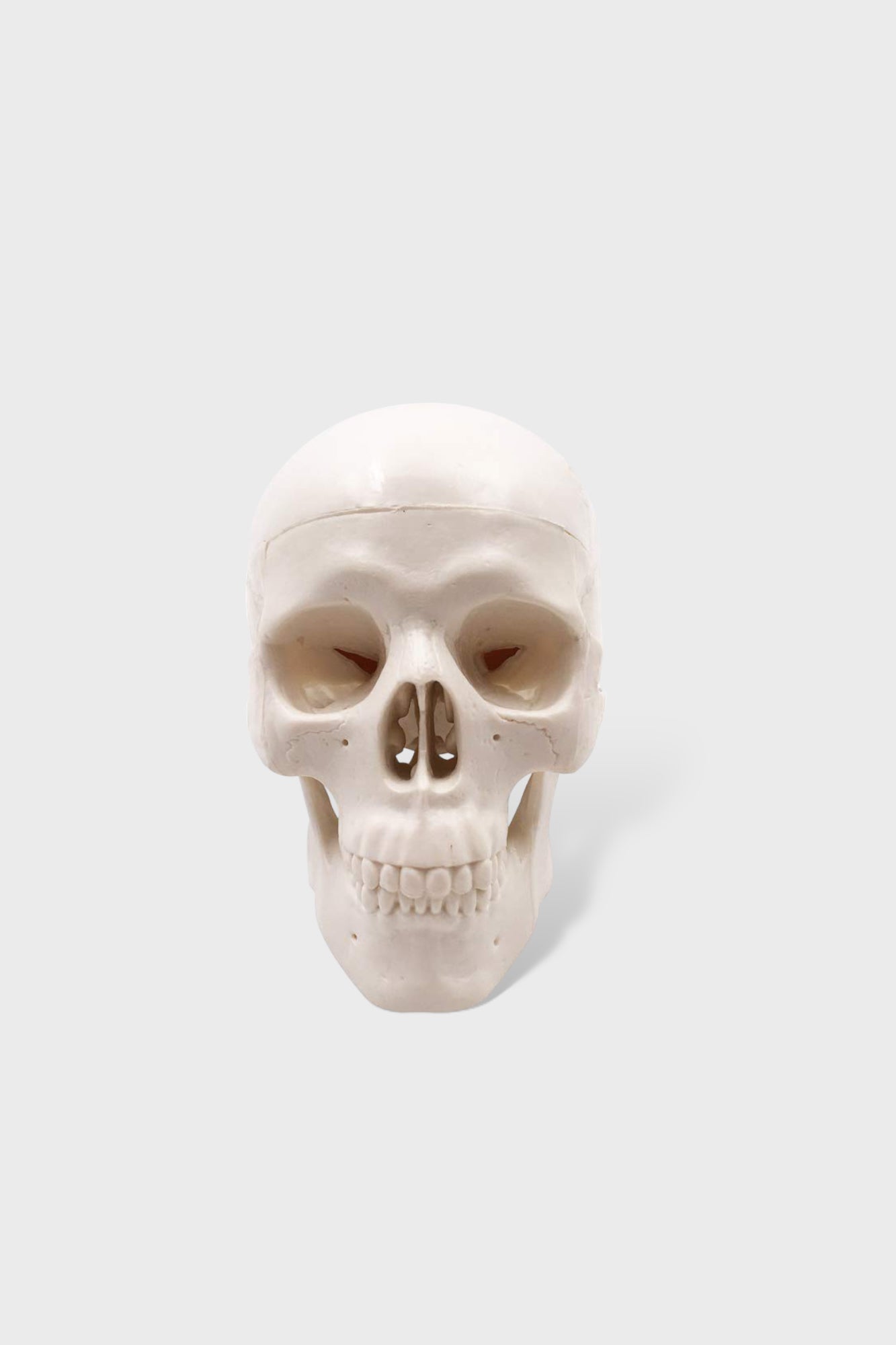 Mini Skull Model