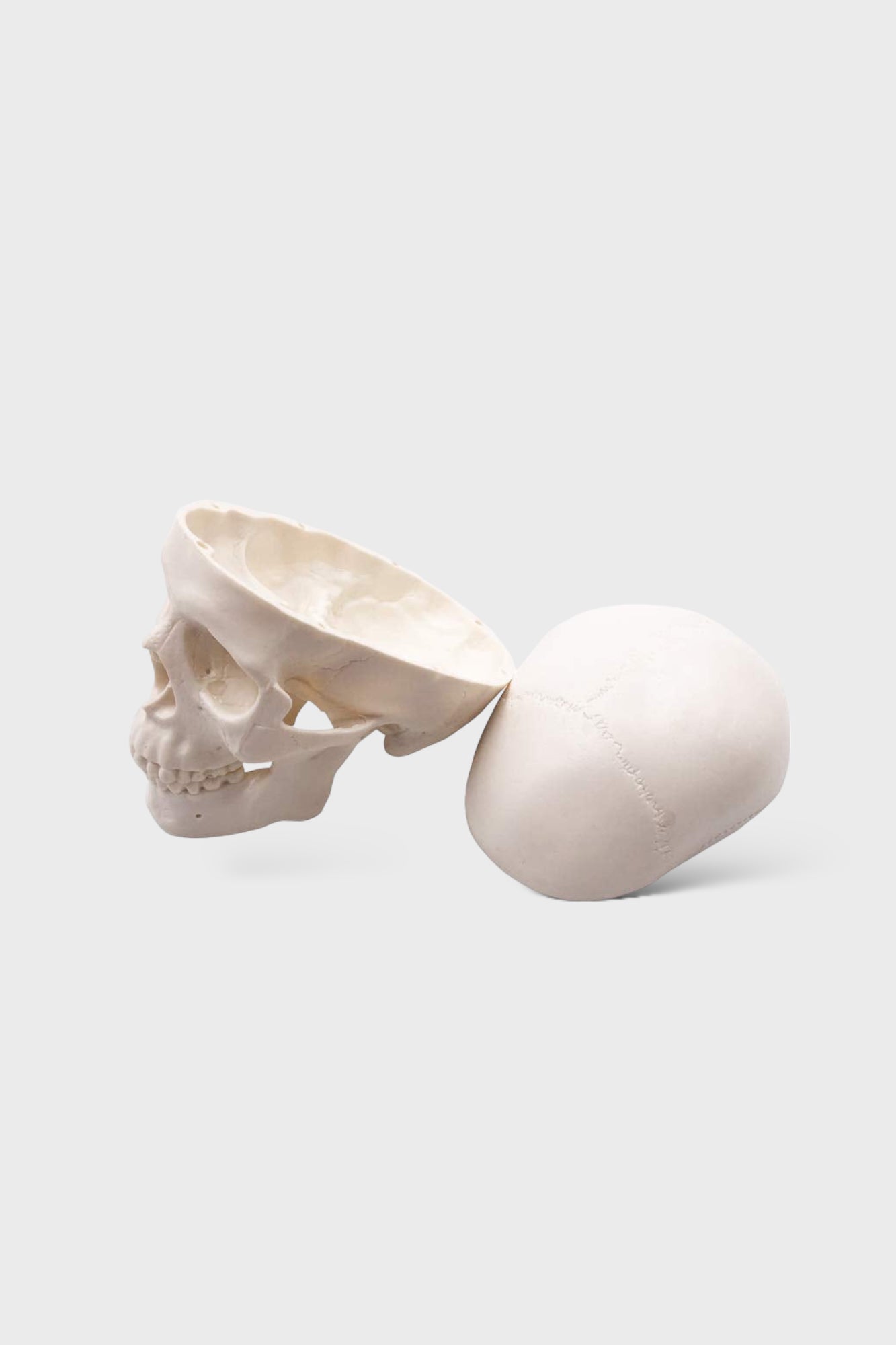 Mini Skull Model