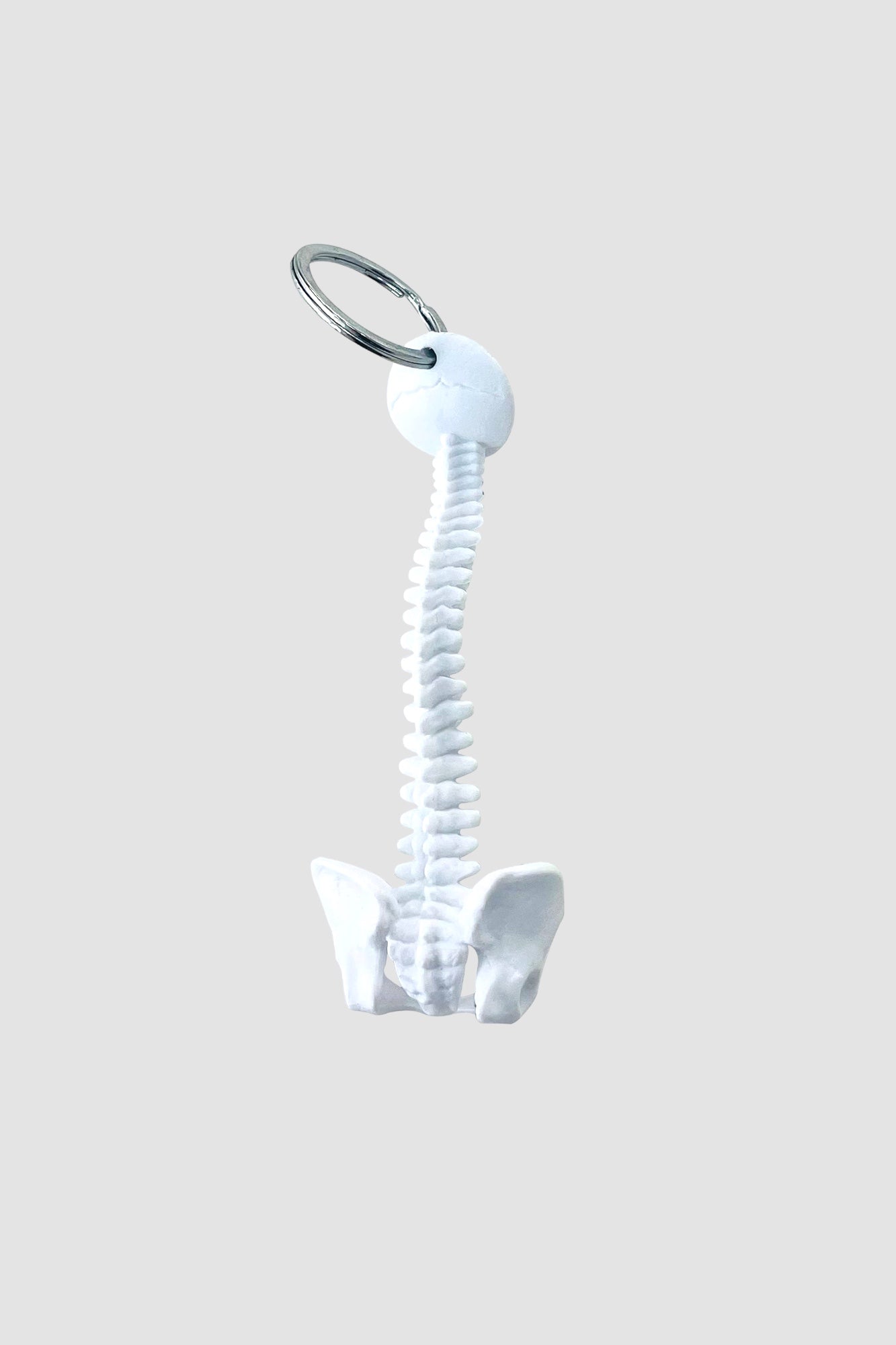 Spine Key Ring