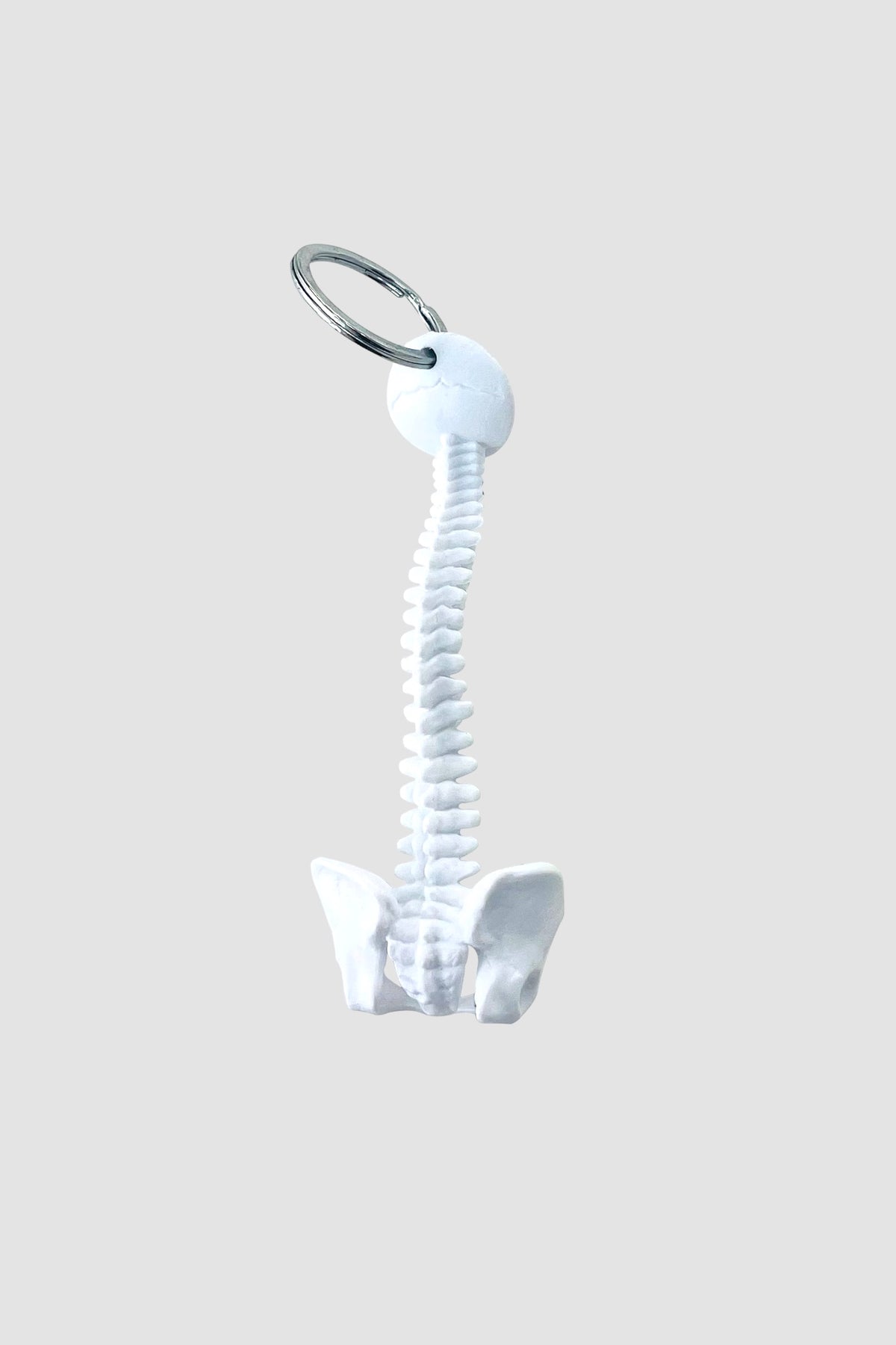 Spine Key Ring