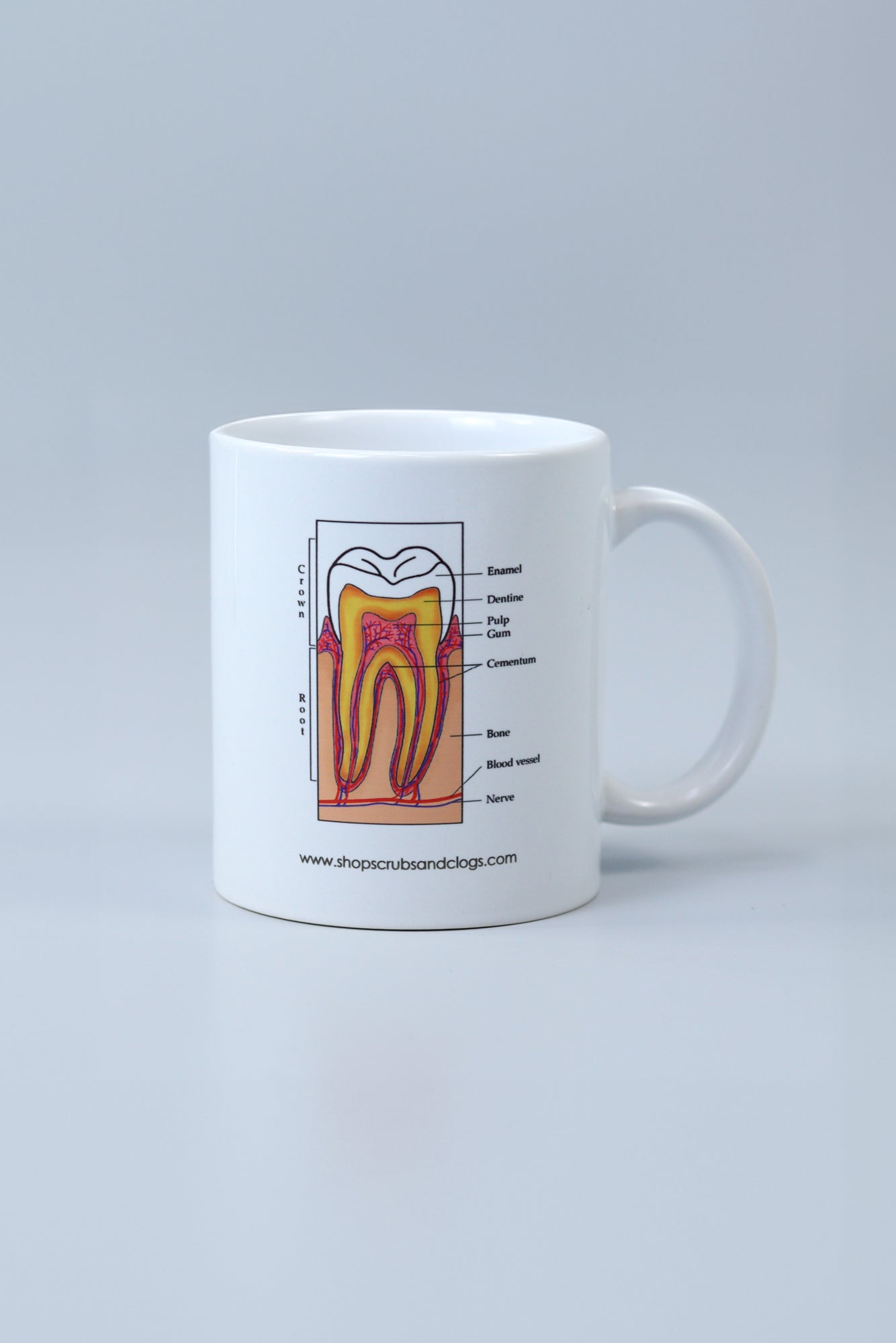 Tooth Ceramic Coffee Mug