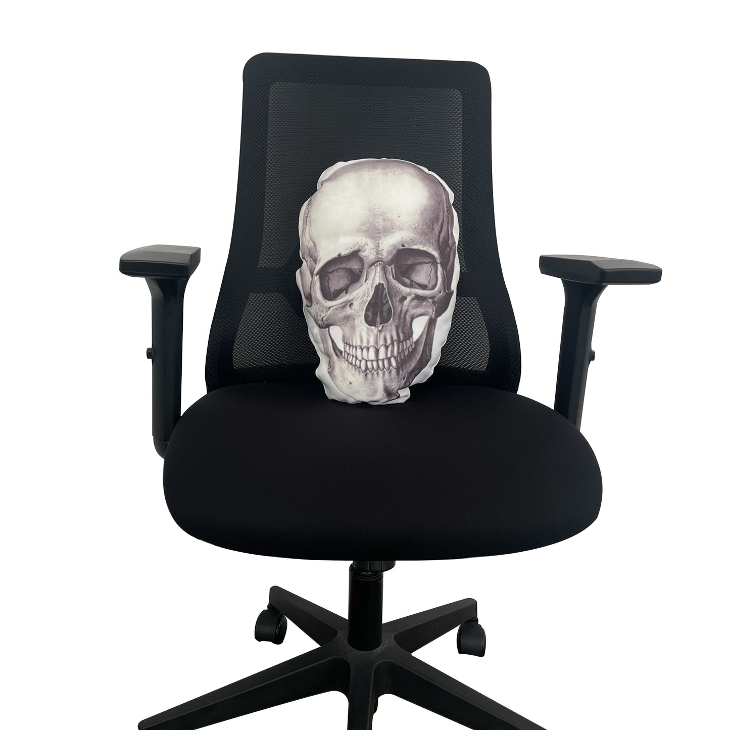 Anatomy Skull Cushion