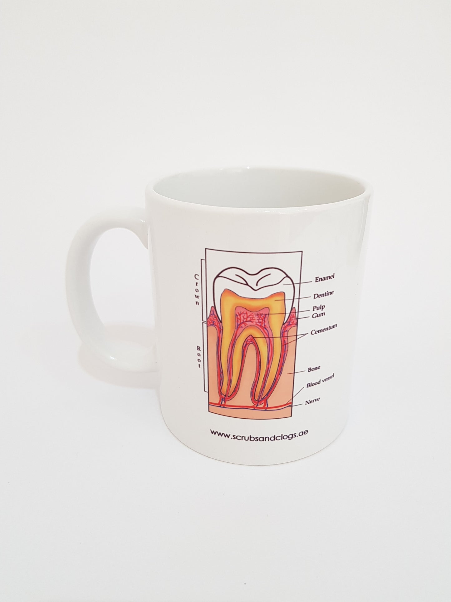 Tooth Ceramic Coffee Mug