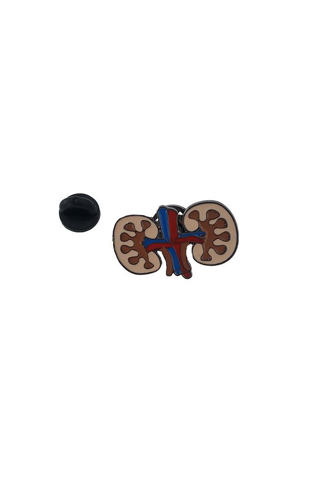 Colored Kidney Pin, second view