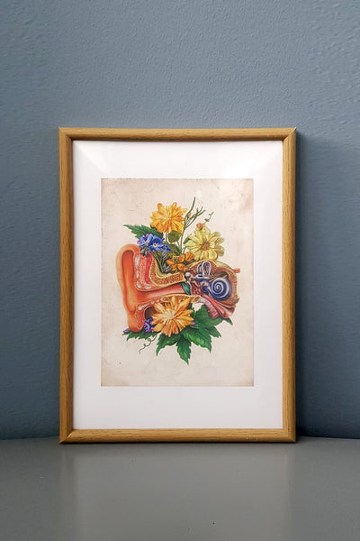 Ear Flower Anatomy - Framed Medical Art