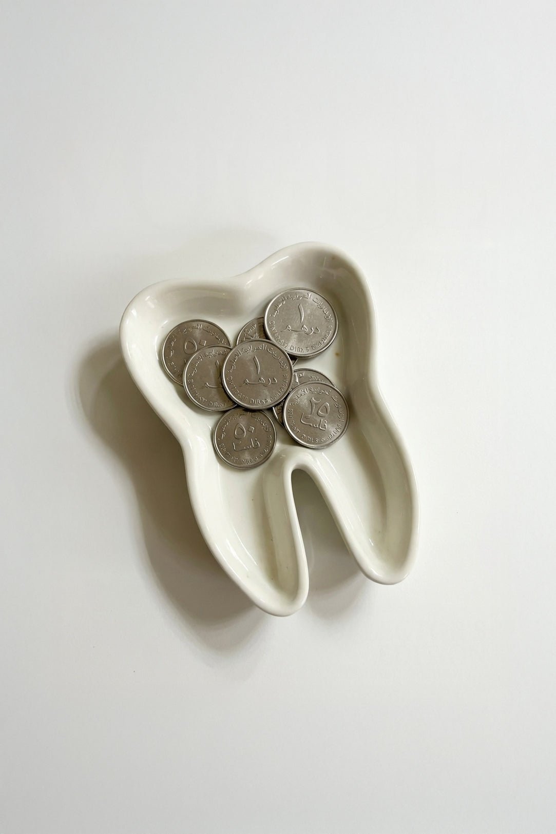 files-dentalholder4-jpg