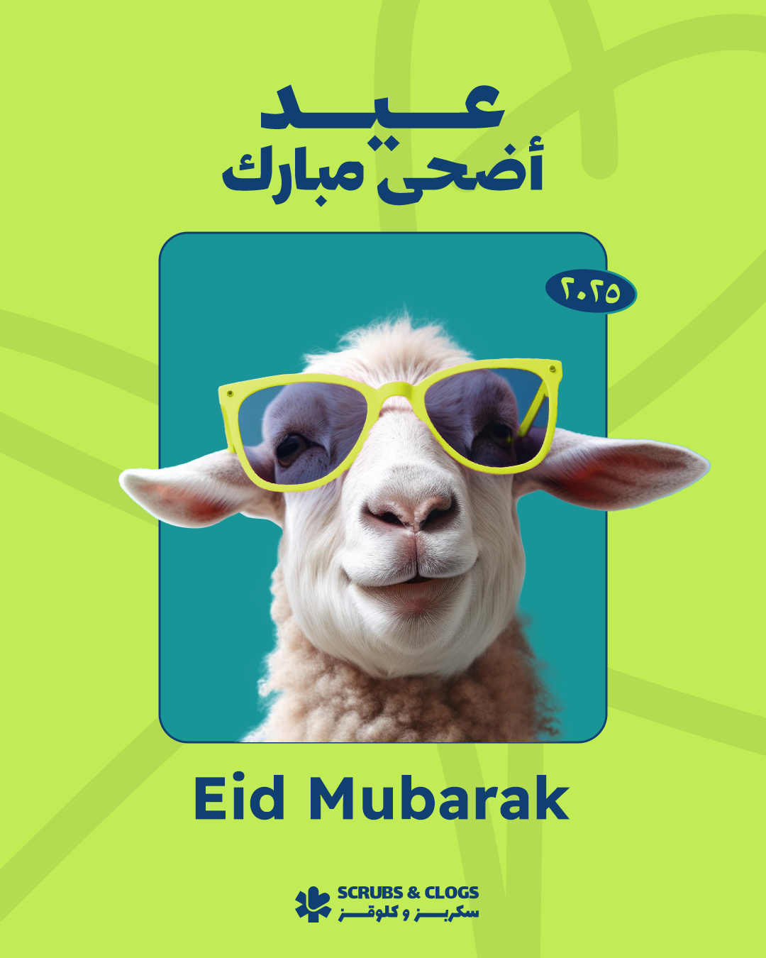 Eid offer buy2 get 3rd one at 50% discount offer for selected items and free stethoscope laser name printing / engraving and stethoscope tube printing