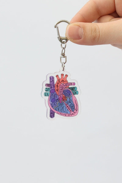 Heart Anatomy Keychain