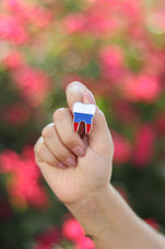 files-toothpinrussia3-jpg