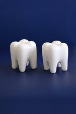 files-toothshaker3-jpg