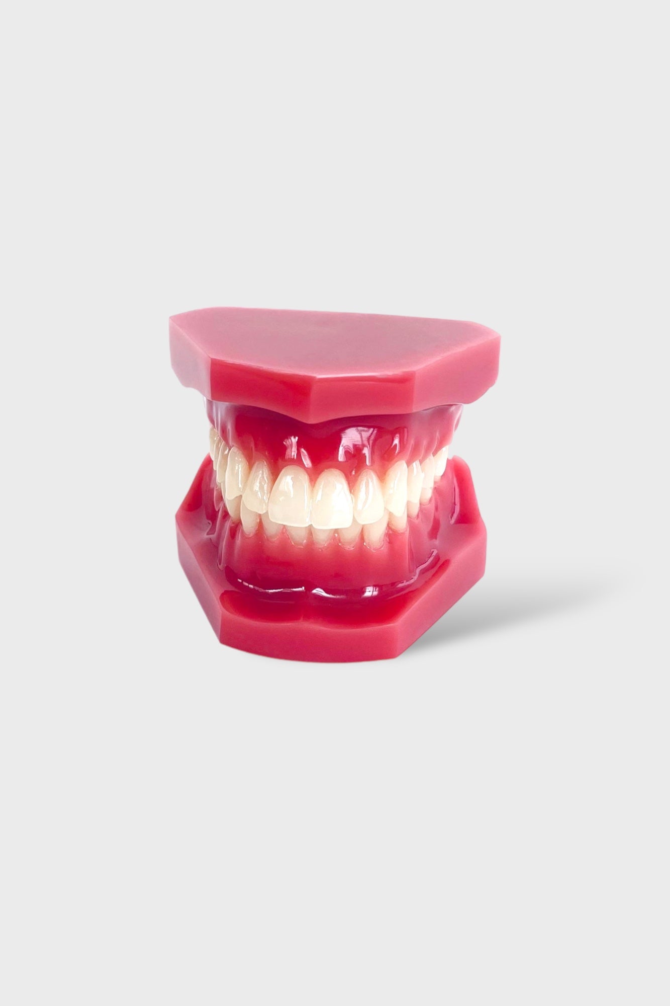 files-dental-adult-anatomical-jaw-jpg