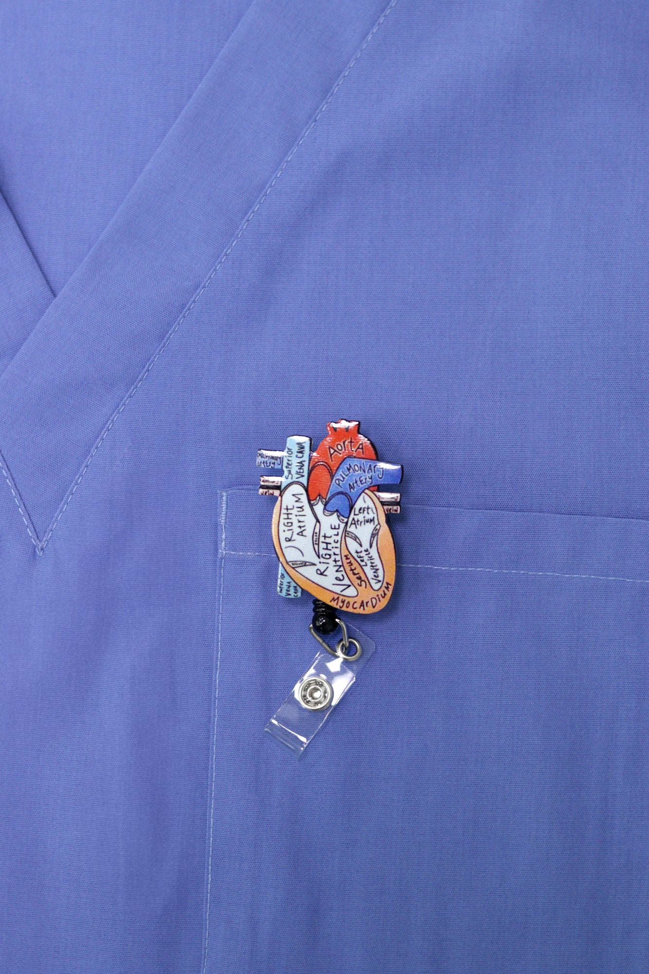 files-heart-anatomy-id-badge-jpg