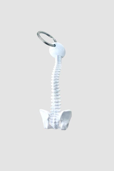 Spine Key Ring