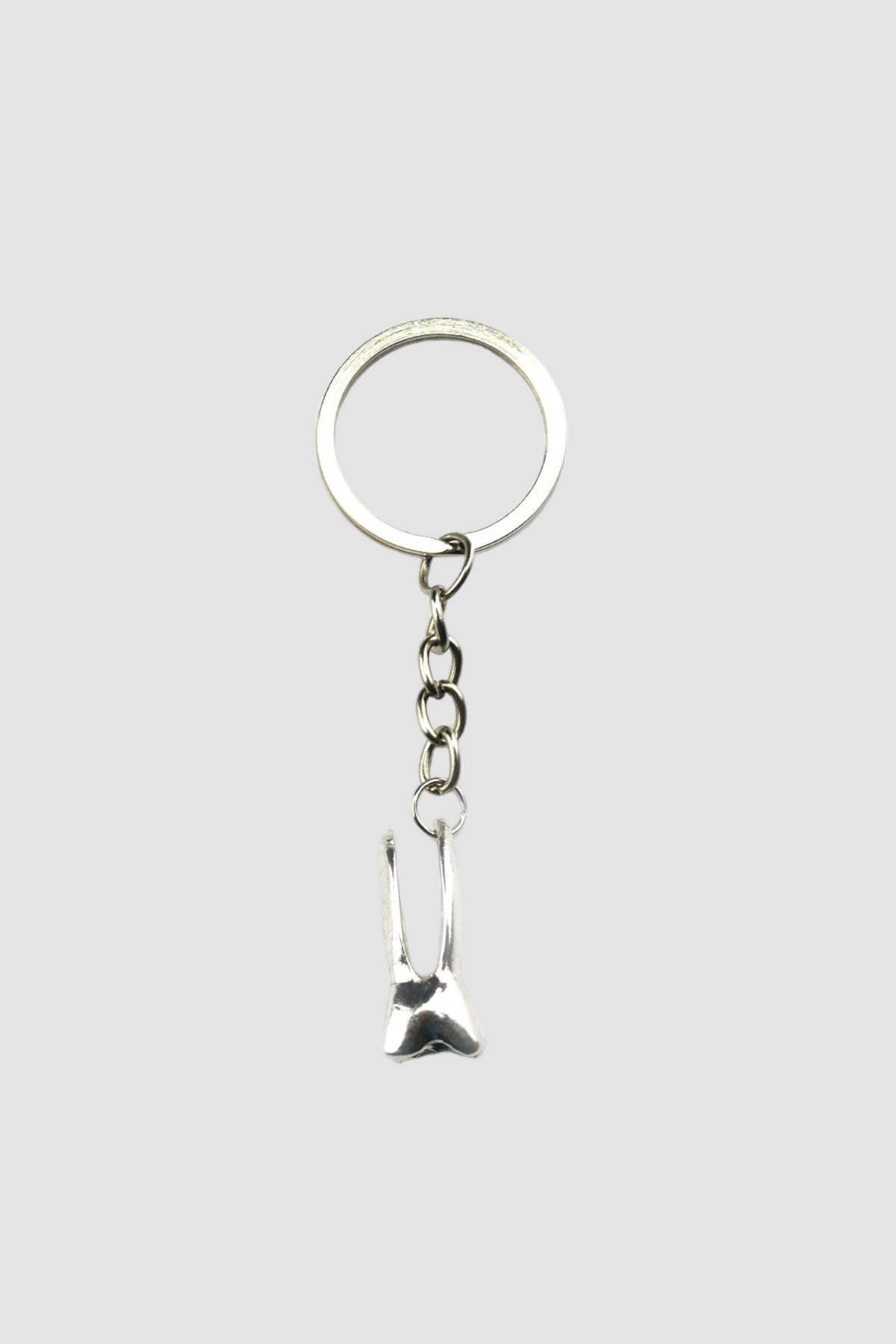 Tooth Key Ring, second view