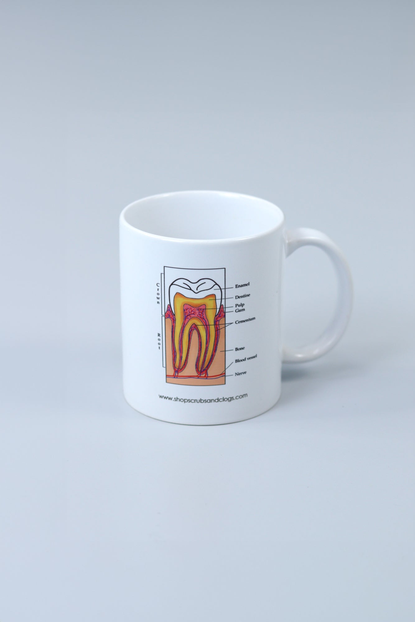 Tooth Ceramic Coffee Mug