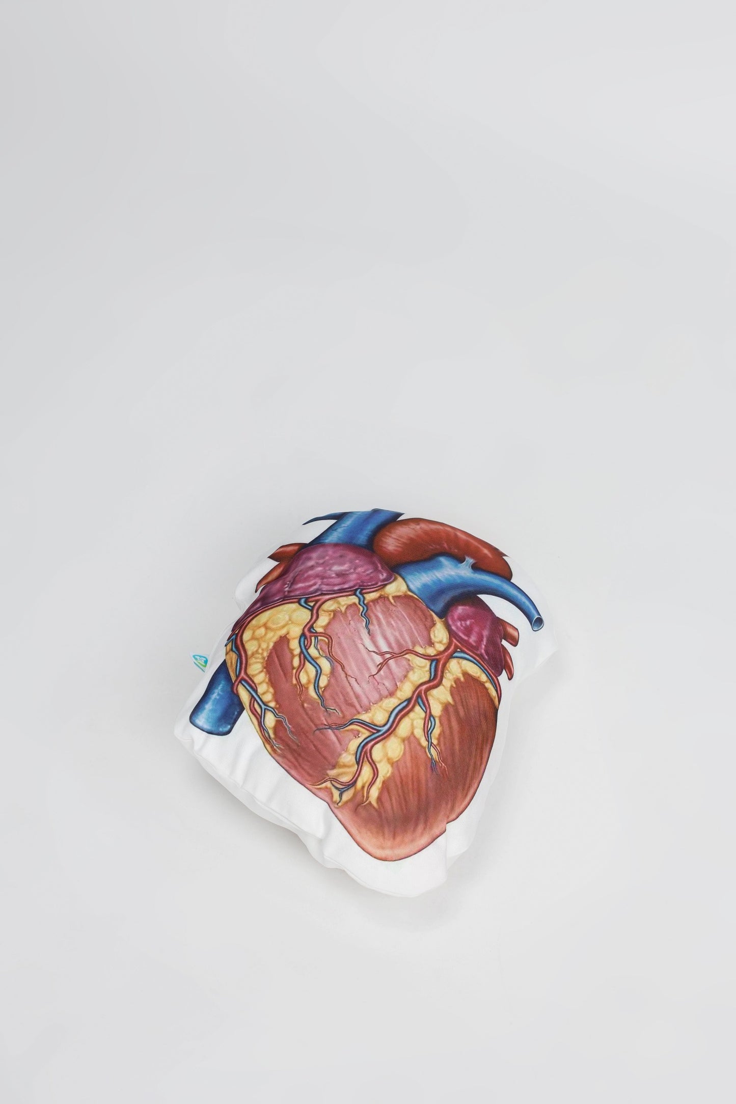 Anatomy Heart Cushion