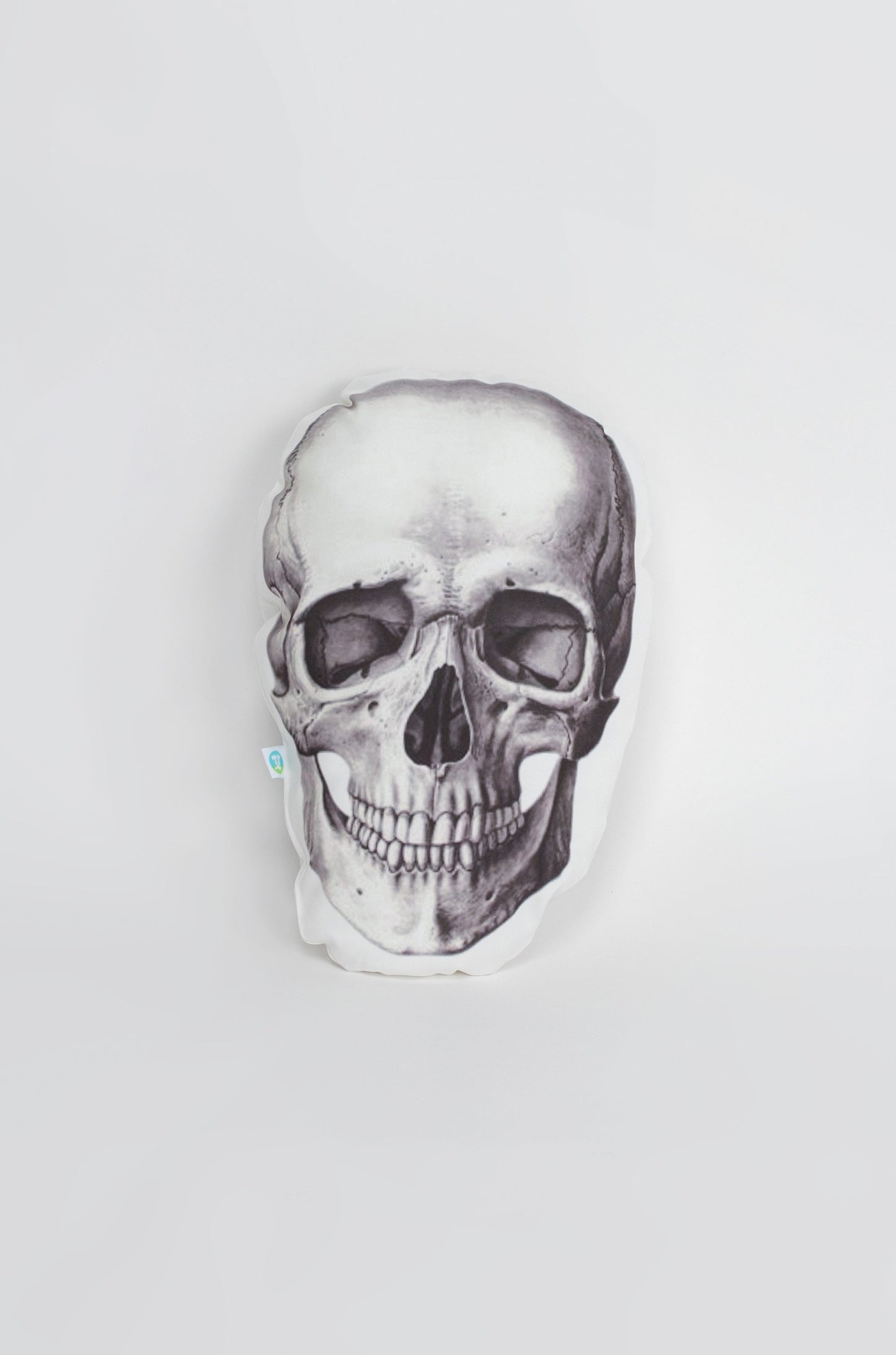 Anatomy Skull Cushion