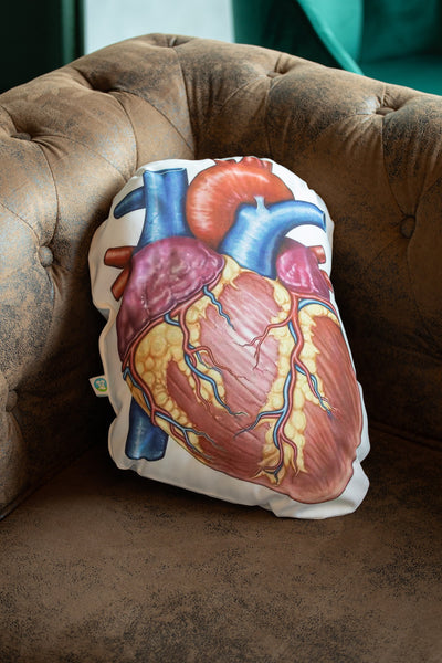 Anatomy Heart Cushion