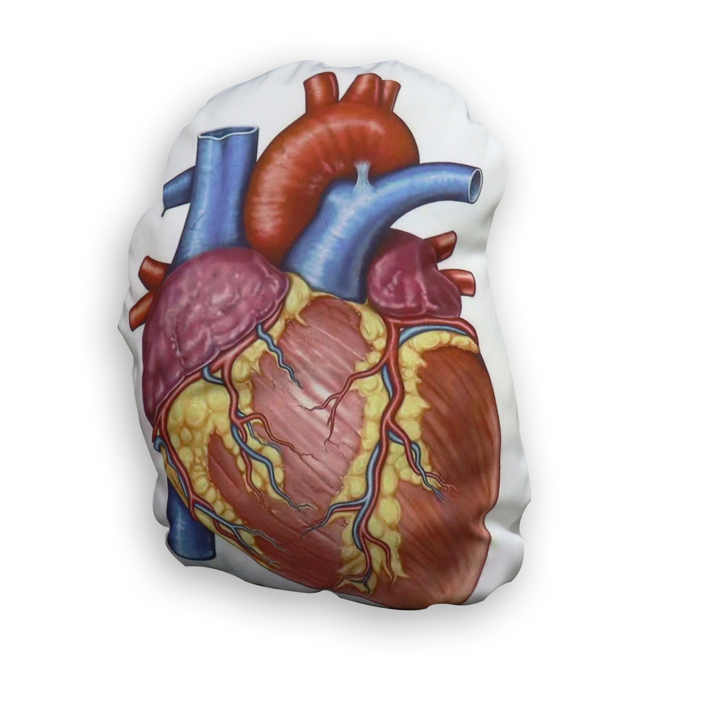 Anatomy Heart Cushion