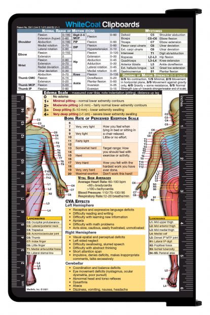 مذكرة قابلة للطي - حافظة WhiteCoat® - أسود - طبعة العلاج الطبيعي