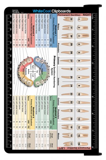 Folding Memo - WhiteCoat Clipboard® - Black - Dental Edition