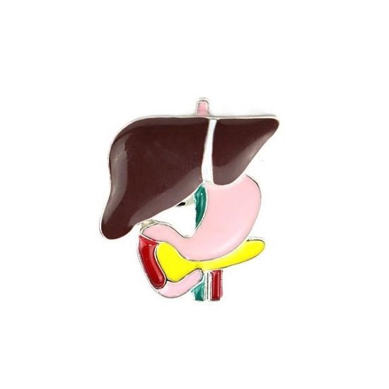 Liver and Stomach Pin