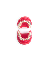 products-ortho-dental-tooth-model-with-brace-third-view-jpg