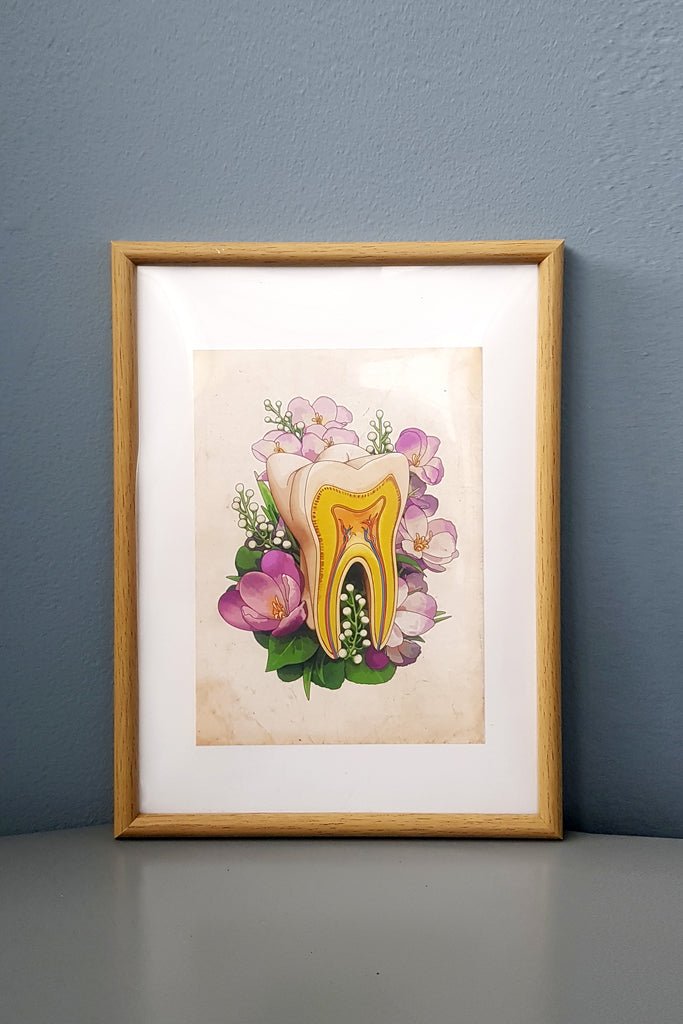 Teeth Flower Anatomy - Framed Medical Art