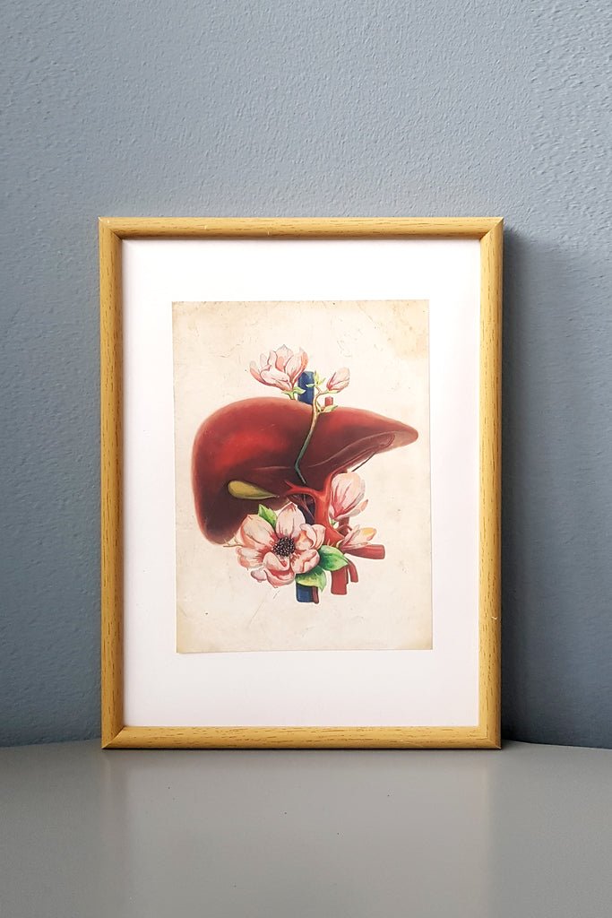 Liver Flower Anatomy - Framed Medical Art