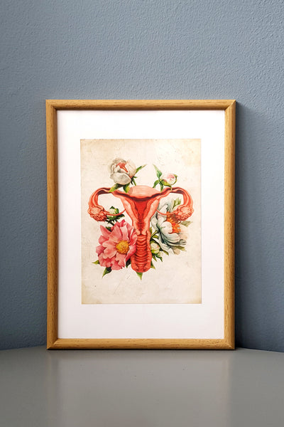 Cervix Flower Anatomy - Framed Medical Art