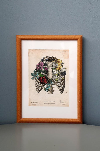 Rib Cage Flower Anatomy - Framed Medical Art